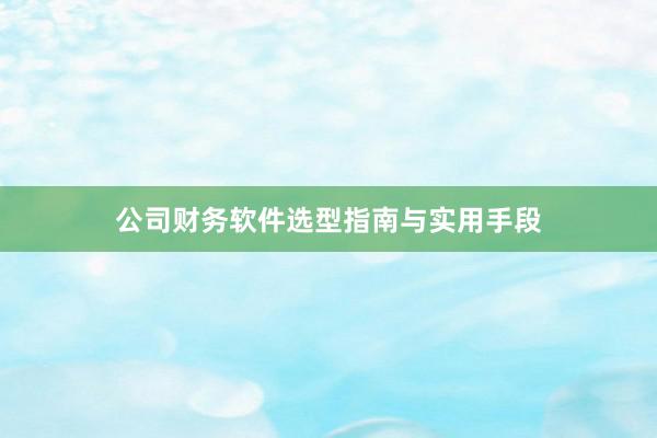公司财务软件选型指南与实用手段