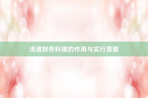 浅道财务料理的作用与实行策略