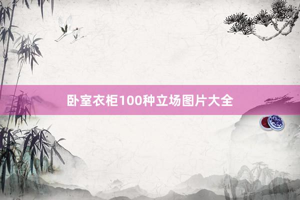 卧室衣柜100种立场图片大全